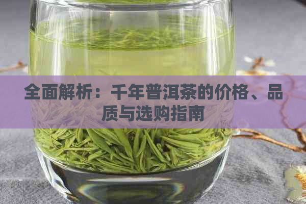 全面解析：千年普洱茶的价格、品质与选购指南