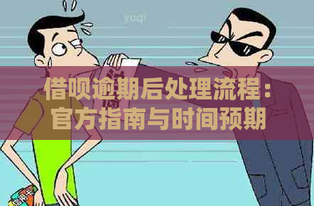 借呗逾期后处理流程：官方指南与时间预期