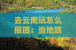 去云南玩怎么报团：当地旅游团费用及攻略