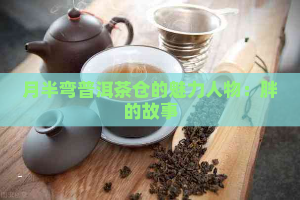 月半弯普洱茶仓的魅力人物：胖的故事