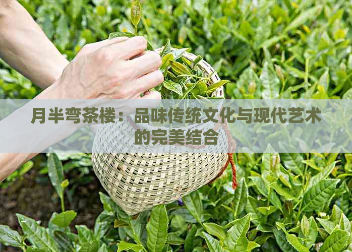 月半弯茶楼：品味传统文化与现代艺术的完美结合