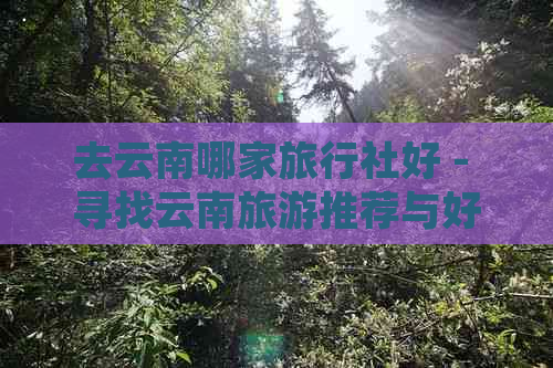 去云南哪家旅行社好 - 寻找云南旅游推荐与好玩的旅行社