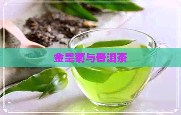 金皇菊与普洱茶