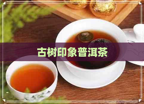 古树印象普洱茶