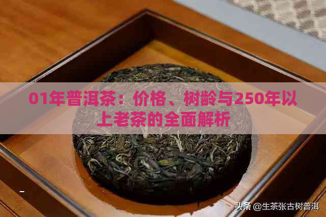 01年普洱茶：价格、树龄与250年以上老茶的全面解析