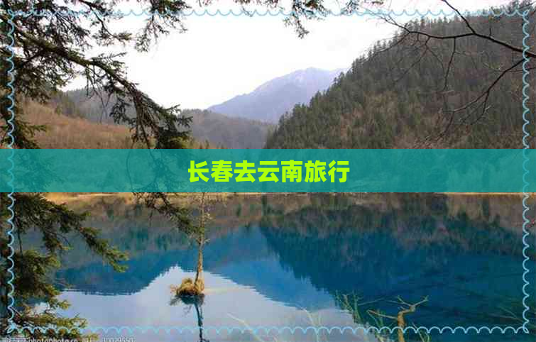 长春去云南旅行