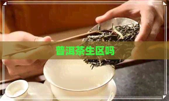 普洱茶生区吗