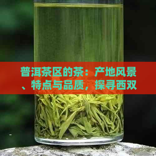 普洱茶区的茶：产地风景、特点与品质，探寻西双版纳民族文化的魅力