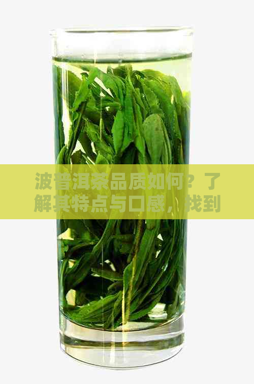 波普洱茶品质如何？了解其特点与口感，找到最适合你的茶叶选择