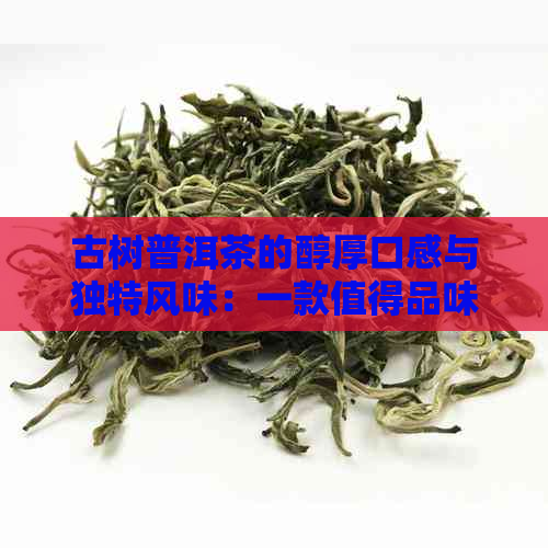 古树普洱茶的醇厚口感与独特风味：一款值得品味的上品茶