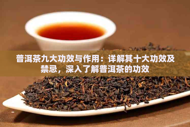 普洱茶九大功效与作用：详解其十大功效及禁忌，深入了解普洱茶的功效