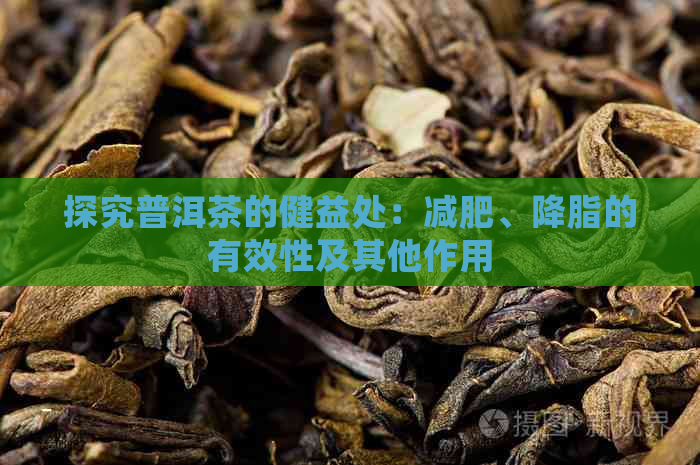 探究普洱茶的健益处：减肥、降脂的有效性及其他作用