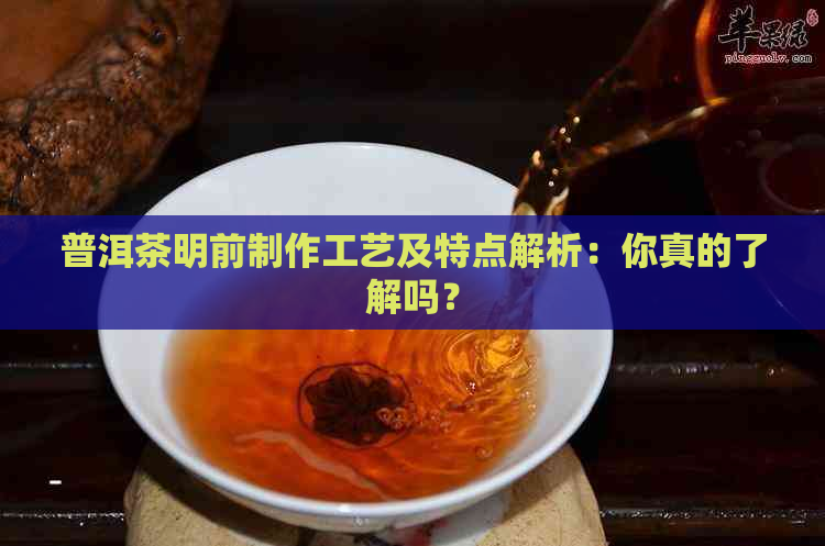 普洱茶明前制作工艺及特点解析：你真的了解吗？