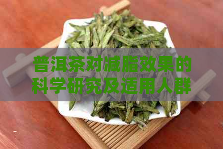 普洱茶对减脂效果的科学研究及适用人群分析：权威解答您的疑问