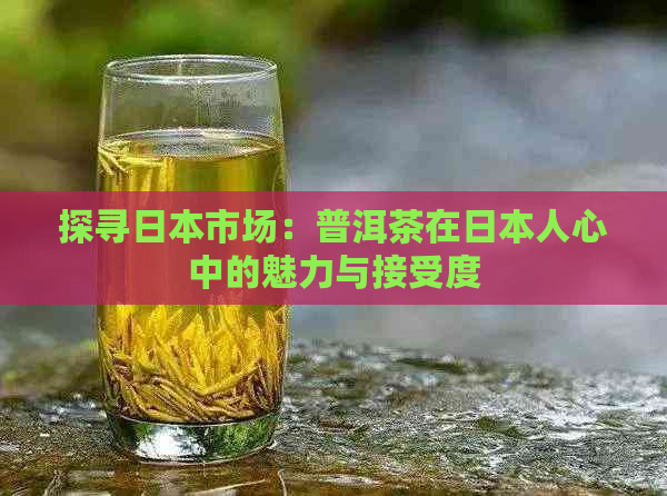 探寻市场：普洱茶在人心中的魅力与接受度