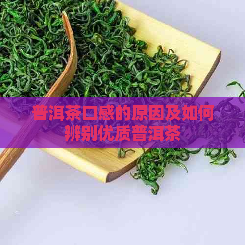 普洱茶口感的原因及如何辨别优质普洱茶