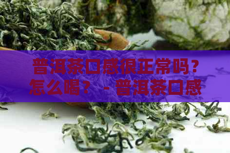 普洱茶口感很正常吗？怎么喝？ - 普洱茶口感润的原因