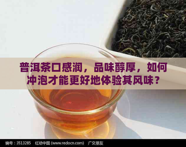 普洱茶口感润，品味醇厚，如何冲泡才能更好地体验其风味？