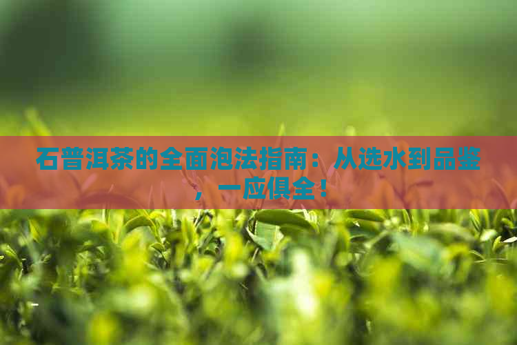 石普洱茶的全面泡法指南：从选水到品鉴，一应俱全！