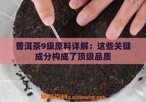 普洱茶9级原料详解：这些关键成分构成了顶级品质