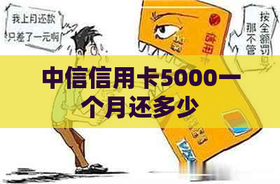 中信信用卡5000一个月还多少