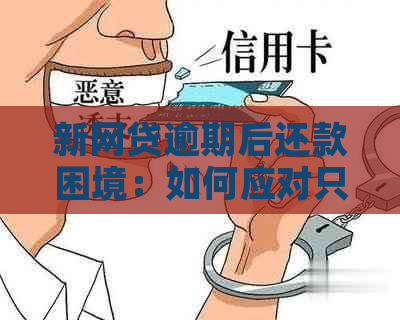 新网贷逾期后还款困境：如何应对只能一次性还清的难题？