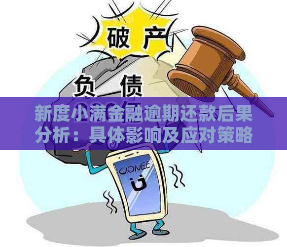 新度小满金融逾期还款后果分析：具体影响及应对策略