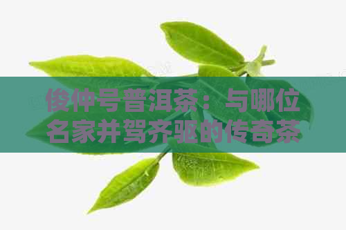 俊仲号普洱茶：与哪位名家并驾齐驱的传奇茶叶？