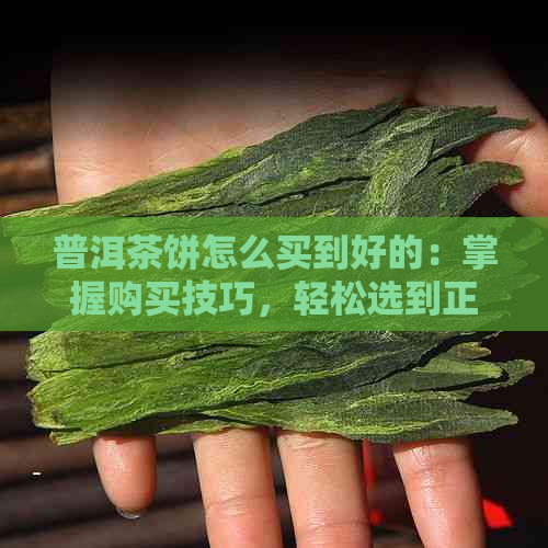 普洱茶饼怎么买到好的：掌握购买技巧，轻松选到正品！