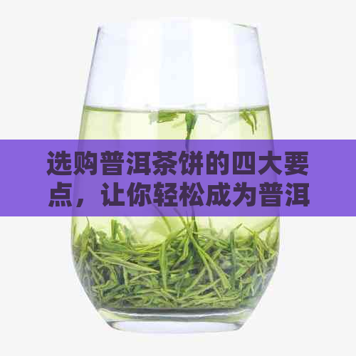 选购普洱茶饼的四大要点，让你轻松成为普洱茶专家！