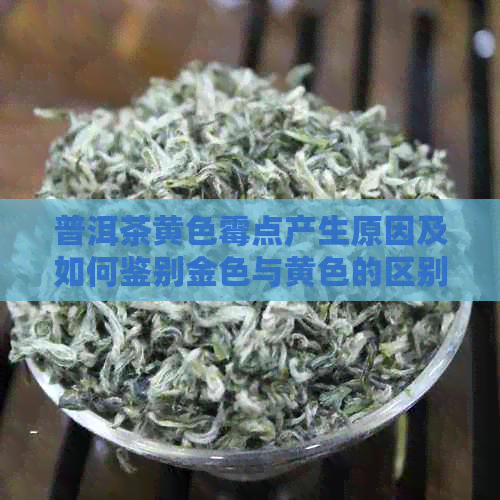 普洱茶黄色霉点产生原因及如何鉴别金色与黄色的区别