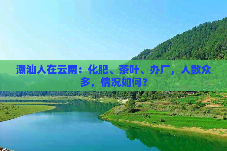 潮汕人在云南：化肥、茶叶、办厂，人数众多，情况如何？