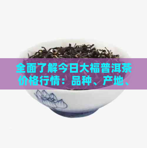 全面了解今日大福普洱茶价格行情：品种、产地、等级与市场动态一览无余