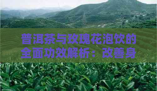 普洱茶与玫瑰花泡饮的全面功效解析：改善身体健、调节情绪等一网打尽！