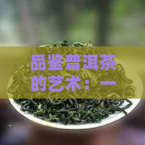 品鉴普洱茶的艺术：一款不容错过的正确冲泡方法