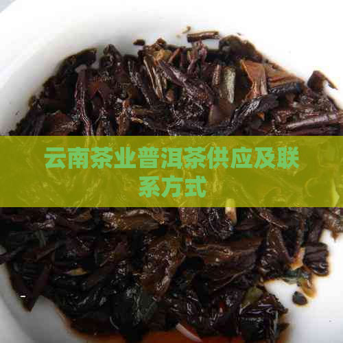 云南茶业普洱茶供应及联系方式