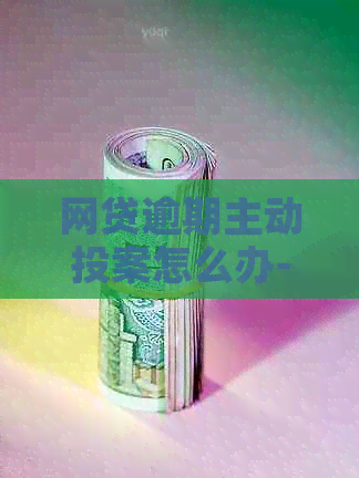 网贷逾期主动投案怎么办-网贷逾期主动投案怎么办理