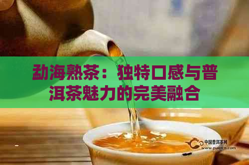 勐海熟茶：独特口感与普洱茶魅力的完美融合