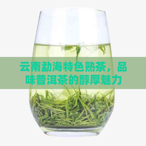 云南勐海特色熟茶，品味普洱茶的醇厚魅力