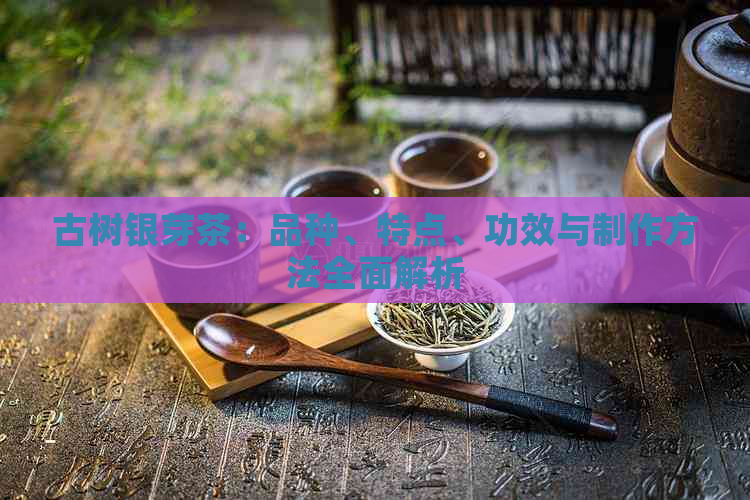 古树银芽茶：品种、特点、功效与制作方法全面解析