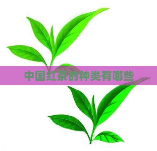 中国红茶的种类有哪些