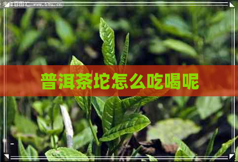 普洱茶坨怎么吃喝呢