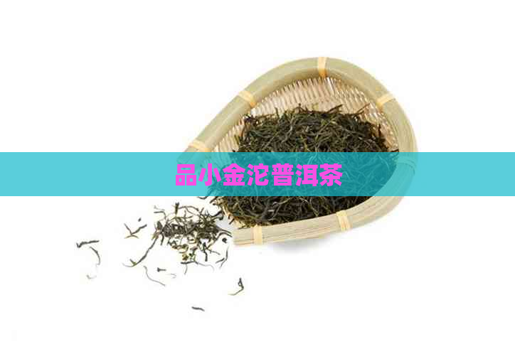 品小金沱普洱茶