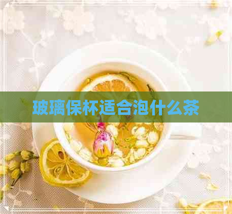 玻璃保杯适合泡什么茶