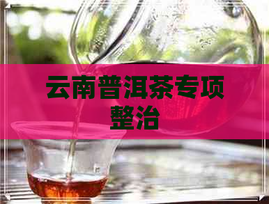 云南普洱茶专项整治