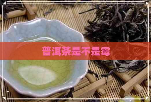 普洱茶是不是霉