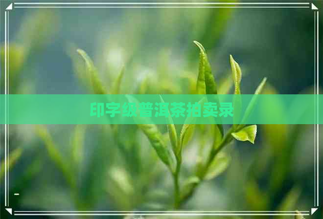 印字级普洱茶拍卖录