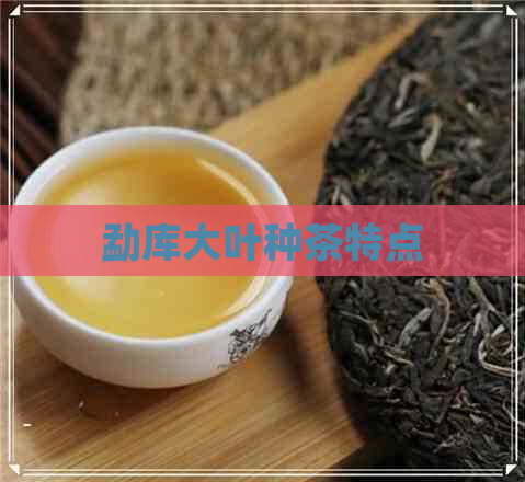 勐库大叶种茶特点