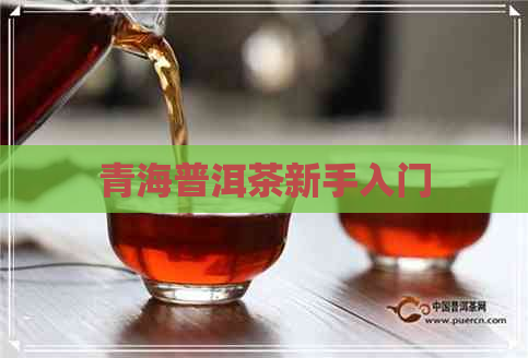 青海普洱茶新手入门