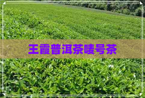 王霞普洱茶唛号茶